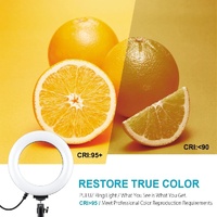 6.2 Led Ring Light with Usb 3 Modes Dimmable Desktop Tripod Cold Shoe Ball Head thumbnail