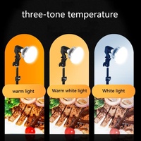700w Mushroom Lamp & Tripod for Mobile Phone Photography thumbnail