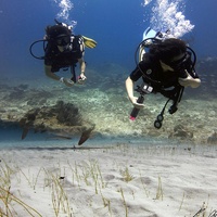 Adjustable Buoyancy Rods for Sport Cameras with Anti-lost Strap thumbnail