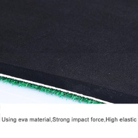 Premium Indoor Golf Mat with Tee - 30x60cm thumbnail
