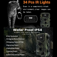 2 Lcd Infrared Night Vision Trail Camera For Wildlife Hunting thumbnail