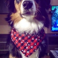 Pet Triangle Towel Christmas Snowflake Dog Saliva Towel - Size S - Red thumbnail