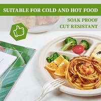 600pcs Disposable Sugarcane Bagasse 3-Compartment Paper Plates Eco 23cm (9") Bulk thumbnail
