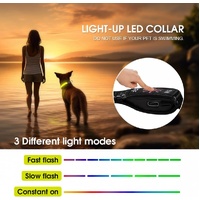 LED Dog Cat Collar USB Rechargeable Nylon Glow Flashing Light Up Safety Puppy thumbnail
