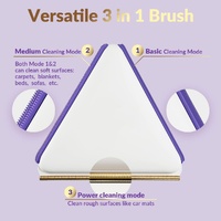 Eco-Friendly Triangle Hair Remover Tool for Pet Hair and Dust – Durable and Reusable thumbnail