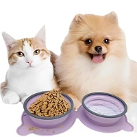 Pink Portable Collapsible Pet Bowl Set - Food-Grade Silicone Double Bowl for Dogs & Cats, Anti-Slip & Easy to Clean thumbnail