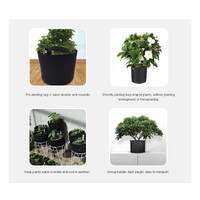 6 Pck 10 Gallon Fabric Flower Pots 38L Garden Planter Bags Black Felt Root Pouch thumbnail