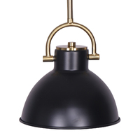 Sarantino Black and Gold Pendant Light thumbnail
