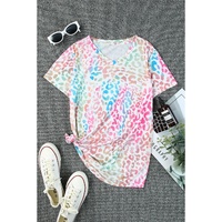 Azura Exchange Leopard V Neck Short Sleeve Top - 2XL thumbnail