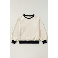 Jet Stream Color Block Edge Raglan Sleeve Crew Neck Textured Top - L thumbnail