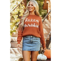 Flamingo Hello Pumpkin Graphic Sweater - 2XL thumbnail