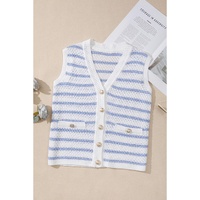 Sky Blue Stripe V Neck Gold Buttons Elegant Sweater Vest - L thumbnail