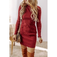 Racing Red Ribbed Knit Long Sleeve High Neck Mini Dress - L thumbnail