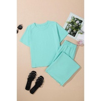 Mint Green Raglan Short Sleeve Tee and Wide Leg Pants Set - L thumbnail