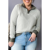 Green Striped Contrasting Trim Plus Size Henley Pullover - 2X thumbnail