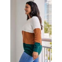 Brown Plus Size Ribbed Trim Color Block Sweater - 1X thumbnail