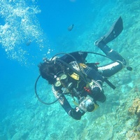 Upgraded Dual Handheld Diving Arm for Underwater Photography thumbnail