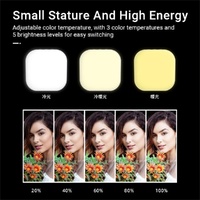 Rechargeable Mini Magnetic Selfie Light - Tri-colour Temperature thumbnail