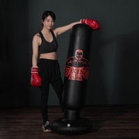 Adult Inflatable Vertical Boxing Column - 1.6M Non-Tumbler Sandbag - Crown thumbnail