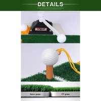 Portable Golf Putting Mat with Push Rod Trainer - 48x23cm - Black thumbnail