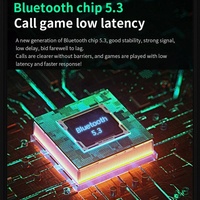 Wireless Bluetooth 5.3 Earphones - Black Ipx6 Edc thumbnail