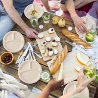600pcs Disposable Sugarcane Bagasse 3-Compartment Paper Plates Eco 23cm (9") Bulk thumbnail