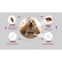 PawfectFriend Flea Collar for Dogs 8 Months Natural Flea Tick Collar for Dog Puppy thumbnail
