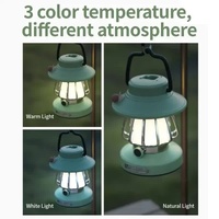 Green Retro Snail Night Light - Portable Rechargeable Camping Lantern with Hook, 3-Color Dimming thumbnail