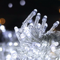 100M Christmas Lights String Fairy Light 500 LED Cool White Jingle Jollys thumbnail