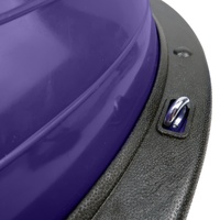 Powertrain Fitness Yoga Ball Home Gym Workout Balance Trainer Purple thumbnail