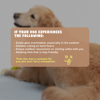 Pet Dog Cooling Mat Non-Slip Travel Roll Up Cool Pad Bed Outdoor M BEIGE thumbnail