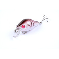 5x 5.5cm Popper Crank Bait Fishing Lure Lures Surface Tackle Saltwater thumbnail