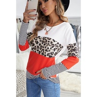 Azura Exchange Leopard Colorblock Long Sleeve Top - S thumbnail