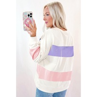 Beige Colorblock Patchwork Drop Shoulder Crewneck Sweatshirt - L thumbnail