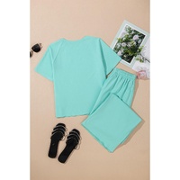Mint Green Raglan Short Sleeve Tee and Wide Leg Pants Set - M thumbnail