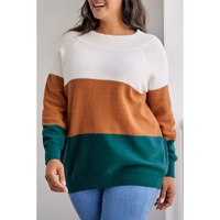 Brown Plus Size Ribbed Trim Color Block Sweater - 1X thumbnail