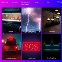 24 Effects Rgb Light for Mobile Devices with Oled Screen thumbnail