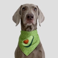 Refreshing Avocado Pet Scarf Three-Layer Thickened Waterproof Saliva Towel - Size L thumbnail