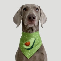 Refreshing Avocado Pet Scarf Three-Layer Thickened Waterproof Saliva Towel - Size Xl thumbnail