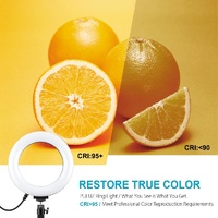 Usb 10 Modes 8 Colour Led Ring Light with Tripod Mount - 6.2 Inch Diameter thumbnail