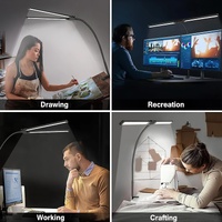 Double Head Clip Desk Lamp with Gooseneck Tube Led in Black thumbnail