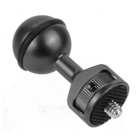 Universal 2.5cm Ball Head Clip for Action and Underwater Cameras - Titanium thumbnail