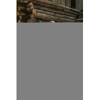 DKUGG ERIN SCUFF- Size L 39/40 - PINK thumbnail