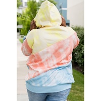 Sky Blue Colorblock Kangaroo Pocket Plus Size Hoodie - 1X thumbnail