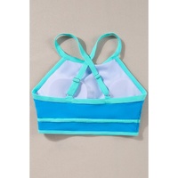 Blue Contrast Trim Crisscross Back High Waisted Bikini - L thumbnail
