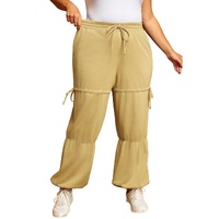 Beige Drawstring Adjusted Band High Waist Plus Size Pants - 4X thumbnail