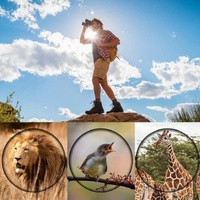 High Definition Monocular Telescope For Outdoor Bird Viewing - 16X52 Green Film - 16X52 Prism thumbnail