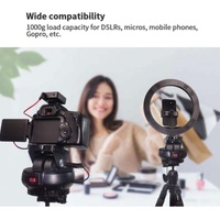 Electric Dual-shaft Gimbal for Live Control thumbnail