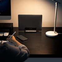 Vaydeer Vertical Notebook Stand - Desktop Storage Shelf thumbnail