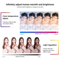 600 Led Flat Fill Light with Remote & Display - Ttv-600 thumbnail